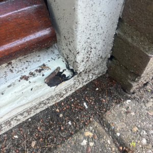Kozijn reparatie Blaak, Tilburg