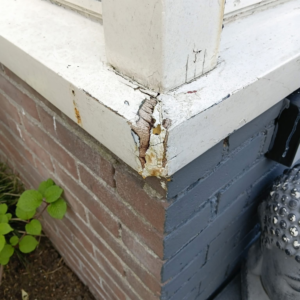 Deelvervanging Tilburg